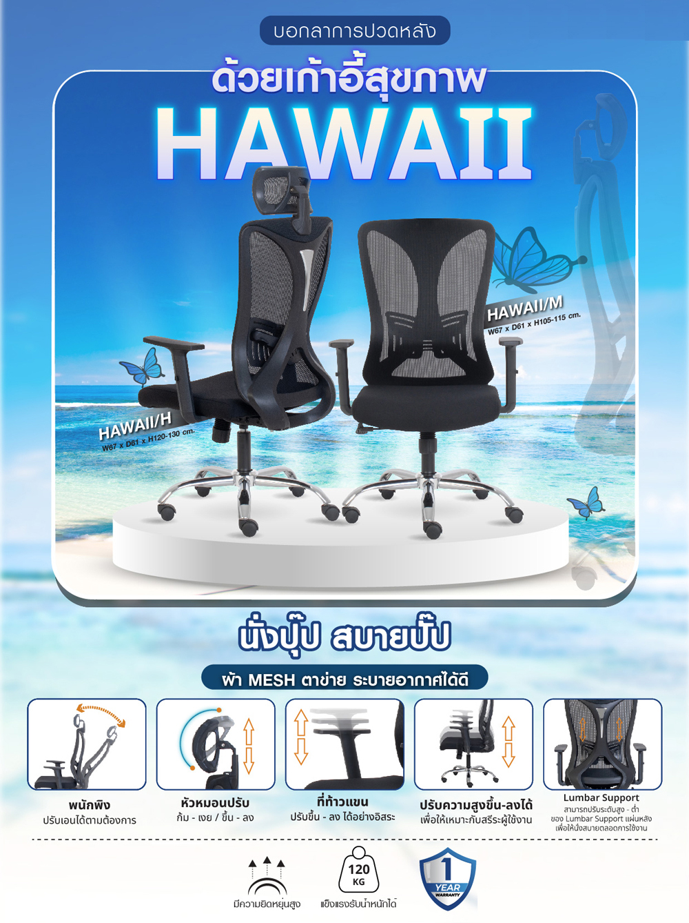 37049::HAWAII/M::เก้าอี้สำนักงานตัวกลาง HAWAII/M กว้าง 66 x ลึก 60 x สูง 105-115 ซม. หุ้มด้วยผ้าตาข่ายไนล่อนสีดำ  แขนปรับขึ้น-ลง ขาเหล็กชุบโครเมี่ยม  โมโน เก้าอี้สำนักงาน